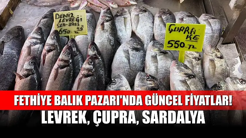 Fethiye Balık Pazarı'nda Güncel Fiyatlar! Levrek, Çupra, Sardalya