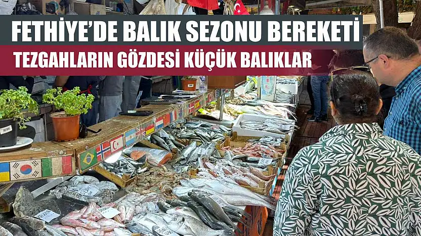 Fethiye'de balık sezonu bereketi: Tezgahların gözdesi küçük balıklar