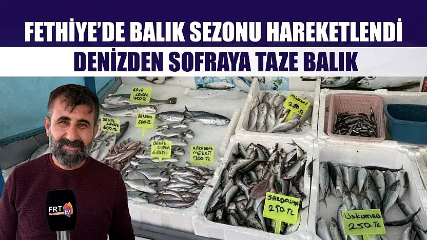Fethiye'de balık sezonu hareketlendi: Denizden sofraya taze balık