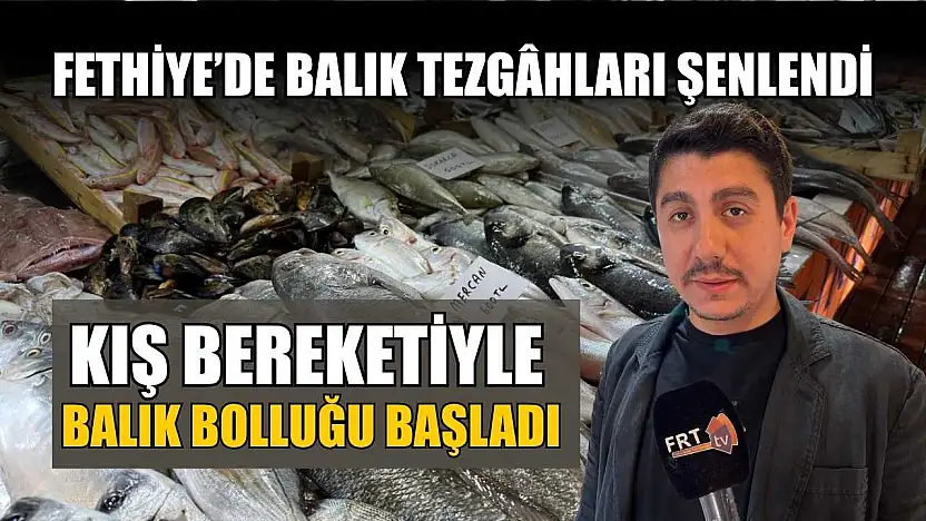 Fethiye'de balık tezgâhları şenlendi: Kış bereketiyle balık bolluğu başladı