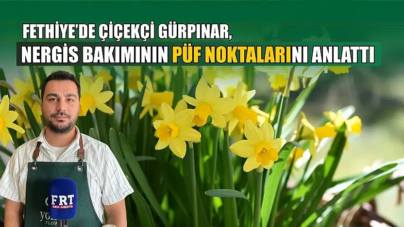 Fethiye'de Çiçekçi Gürpınar, nergis bakımının püf noktalarını anlattı