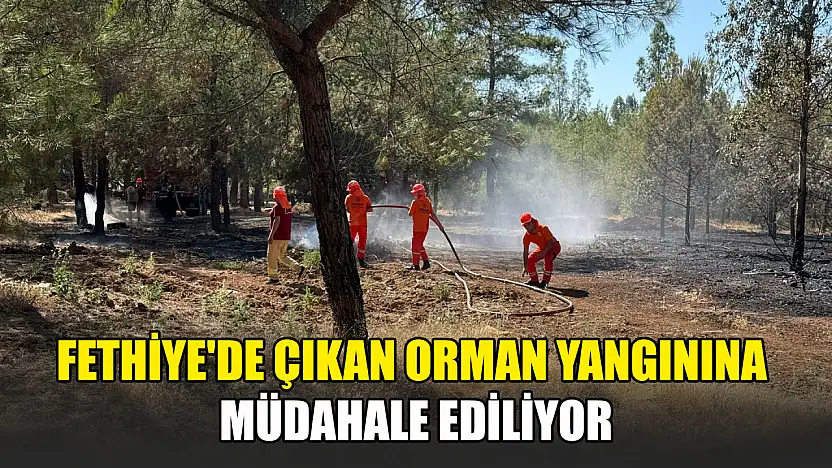 Fethiye'de çıkan orman yangınına müdahale ediliyor