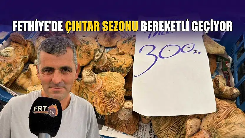 Fethiye'de çıntar sezonu bereketli geçiyor