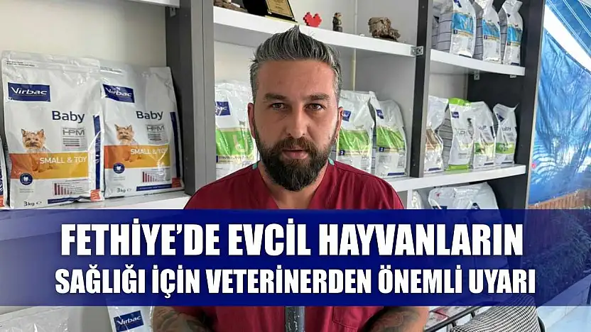 Fethiye'de Evcil Hayvanların Sağlığı İçin Veterinerden Önemli Uyarı