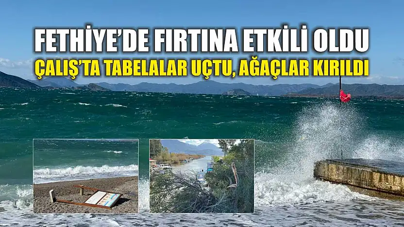 Fethiye'de fırtına etkili oldu: Çalış'ta tabelalar uçtu, ağaçlar kırıldı