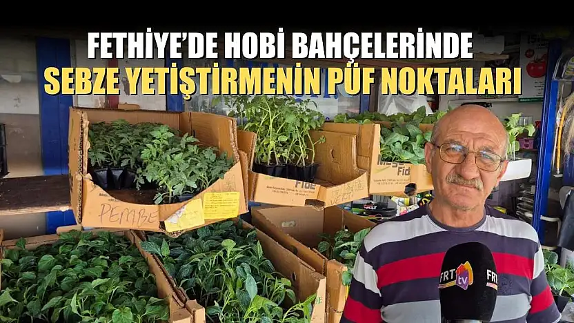 Fethiye'de hobi bahçelerinde sebze yetiştirmenin püf noktaları