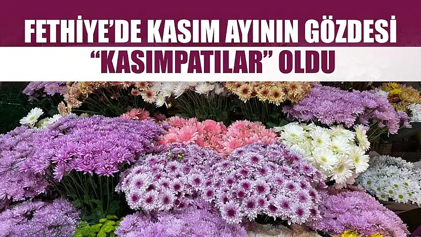 Fethiye'de Kasım ayının gözdesi 'Kasımpatılar' oldu