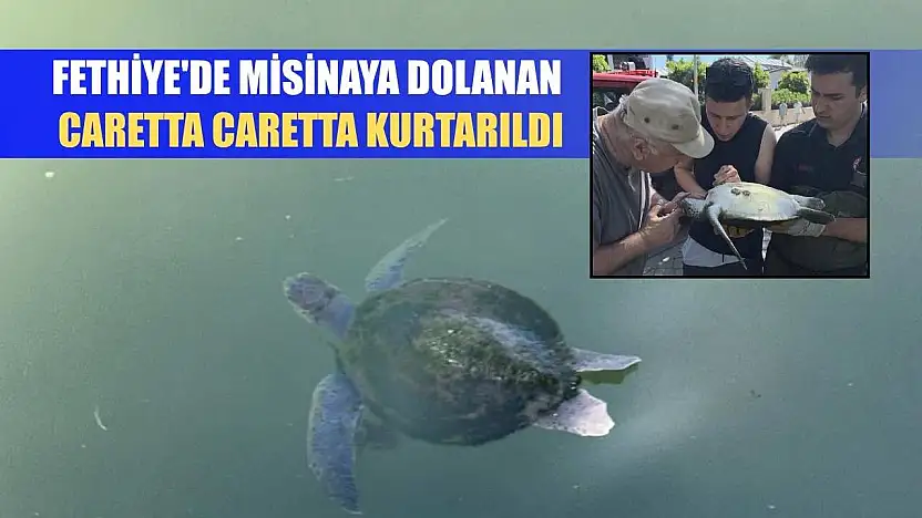 Fethiye'de misinaya dolanan caretta caretta kurtarıldı