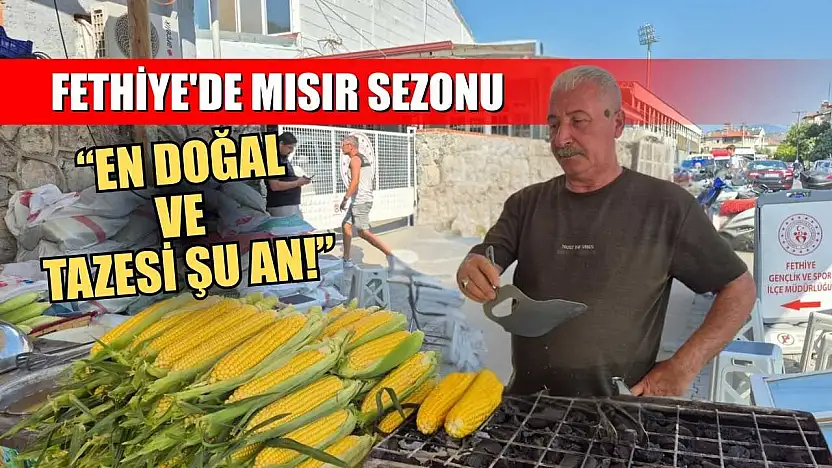 Fethiye'de mısır sezonu, 'En doğal ve tazesi şu an!'