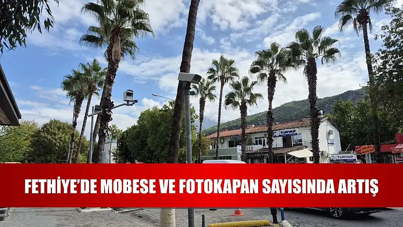 Fethiye'de Mobese ve Fotokapan Sayısında Artış