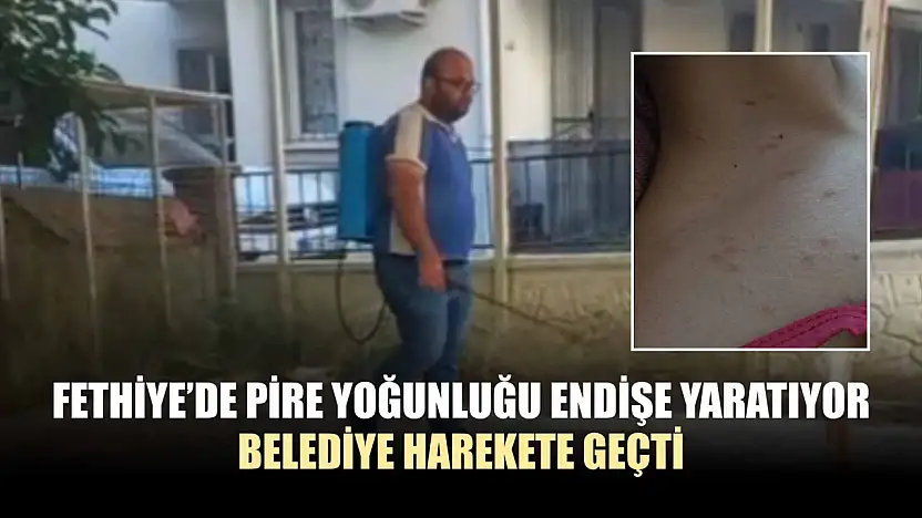 Fethiye'de Pire Yoğunluğu Endişe Yaratıyor Belediye Harekete Geçti