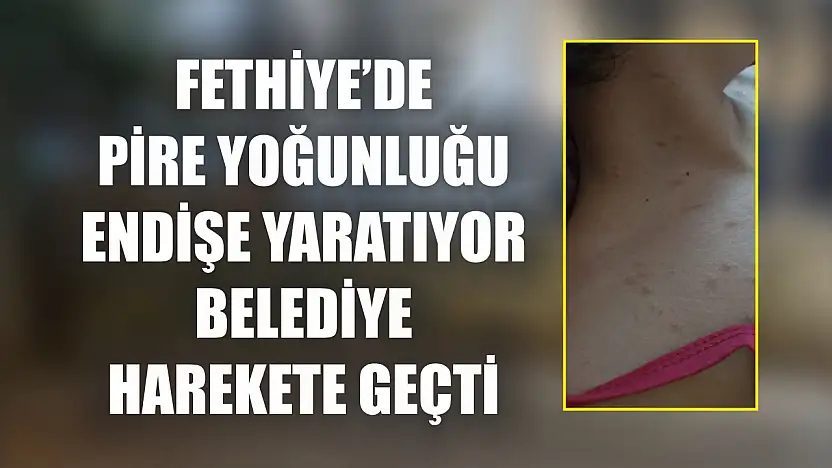Fethiye'de Pire Yoğunluğu Endişe Yaratıyor Belediye Harekete Geçti