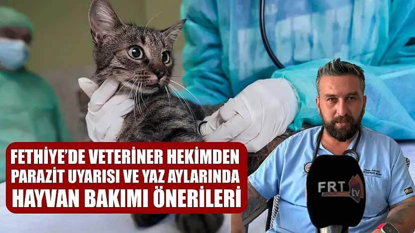 Fethiye'de Veteriner Hekimden Parazit Uyarısı ve Yaz Aylarında Hayvan Bakımı Önerileri