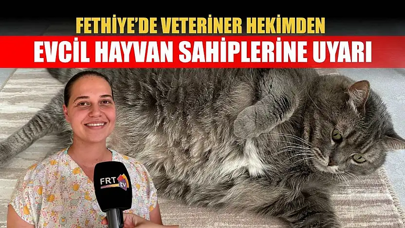 Fethiye'de veteriner hekimden evcil hayvan sahiplerine uyarı