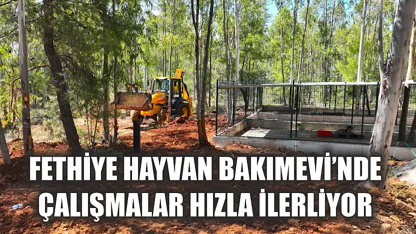 Fethiye Hayvan Bakımevi'nde çalışmalar hızla ilerliyor