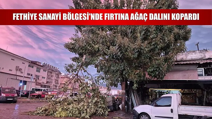 Fethiye Sanayi Bölgesi'nde Fırtına Ağaç Dalını Kopardı