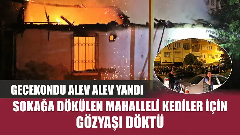 Gecekondu alev alev yandı, sokağa dökülen mahalleli kediler için gözyaşı döktü