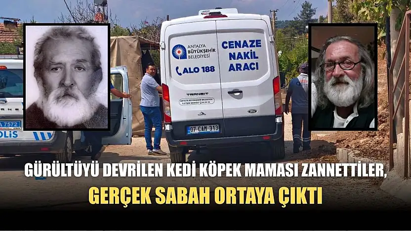 Gürültüyü devrilen kedi köpek maması zannettiler, gerçek sabah ortaya çıktı
