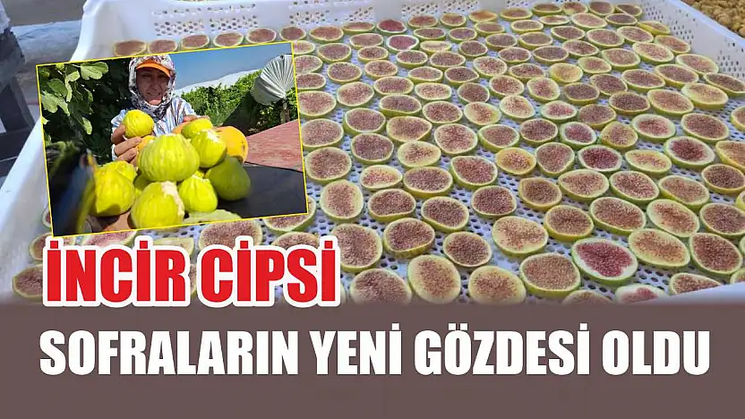 İncir cipsi sofraların yeni gözdesi oldu