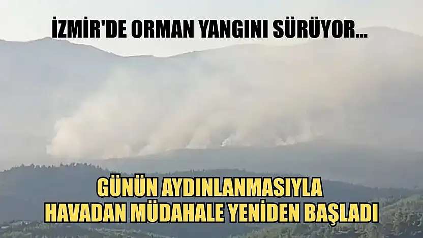 İzmir'de orman yangını sürüyor... Günün aydınlanmasıyla havadan müdahale yeniden başladı