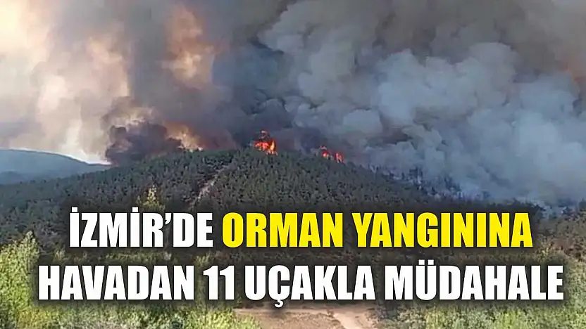 İzmir'de orman yangınına havadan 11 uçakla müdahale