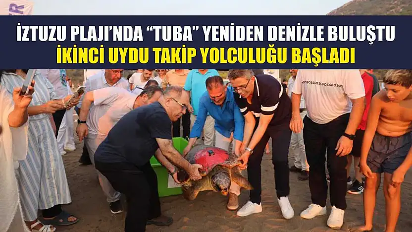 İztuzu Plajı'nda 'Tuba' Yeniden Denizle Buluştu: İkinci Uydu Takip Yolculuğu Başladı
