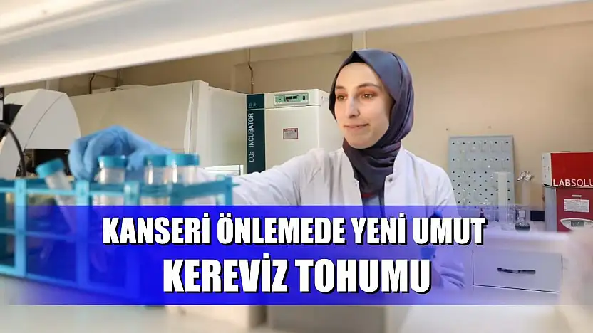 Kanseri önlemede yeni umut: kereviz tohumu