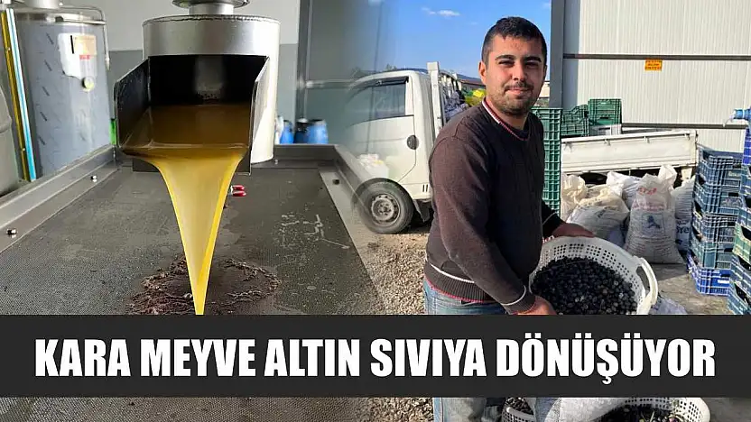 Kara meyve altın sıvıya dönüşüyor