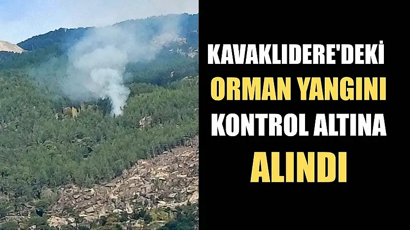 Kavaklıdere'deki orman yangını kontrol altına alındı