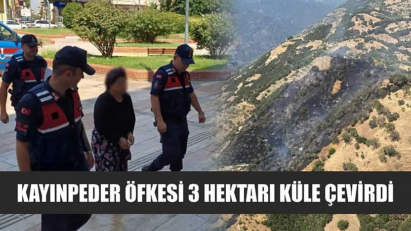 Kayınpeder öfkesi 3 hektarı küle çevirdi