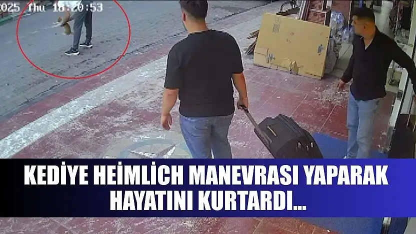 Kediye Heimlich manevrası yaparak hayatını kurtardı...