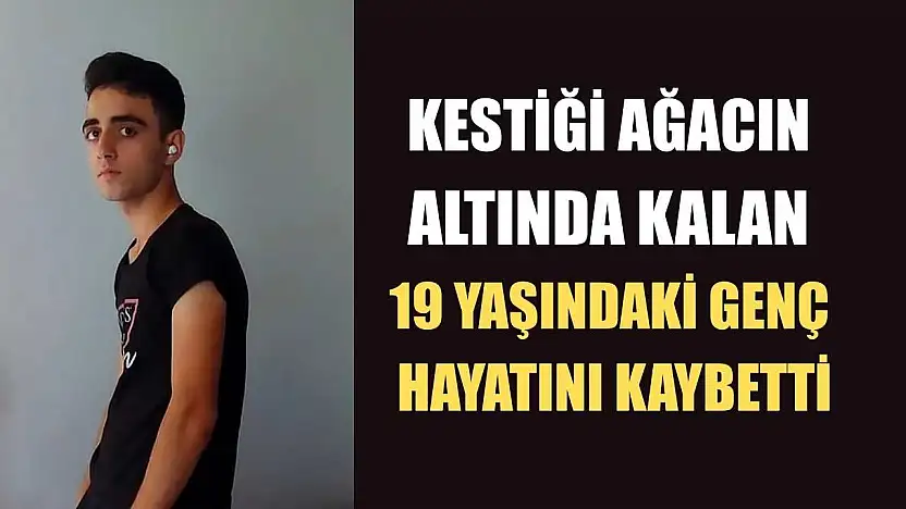 Kestiği ağacın altında kalan 19 yaşındaki genç hayatını kaybetti