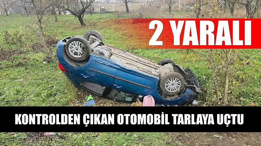Kontrolden çıkan otomobil tarlaya uçtu: 2 yaralı