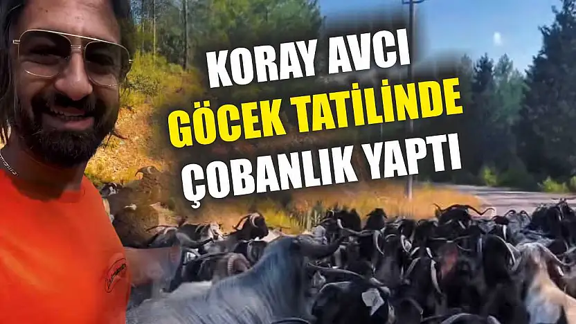 Koray Avcı Göcek tatilinde çobanlık yaptı