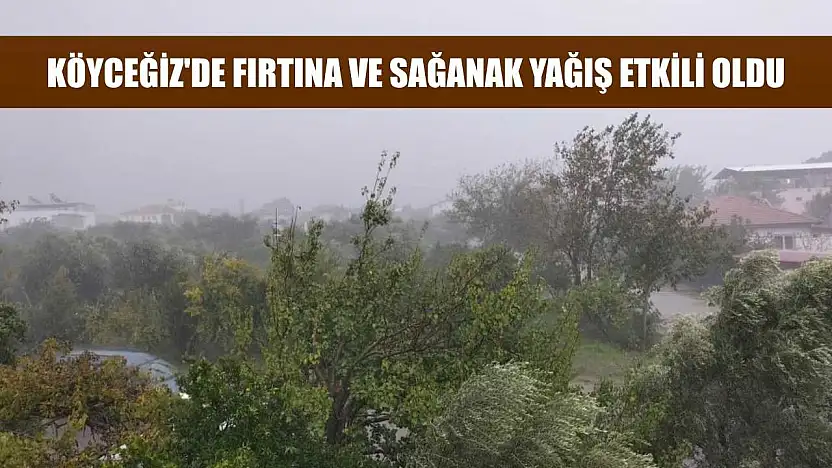 Köyceğiz'de fırtına ve sağanak yağış etkili oldu