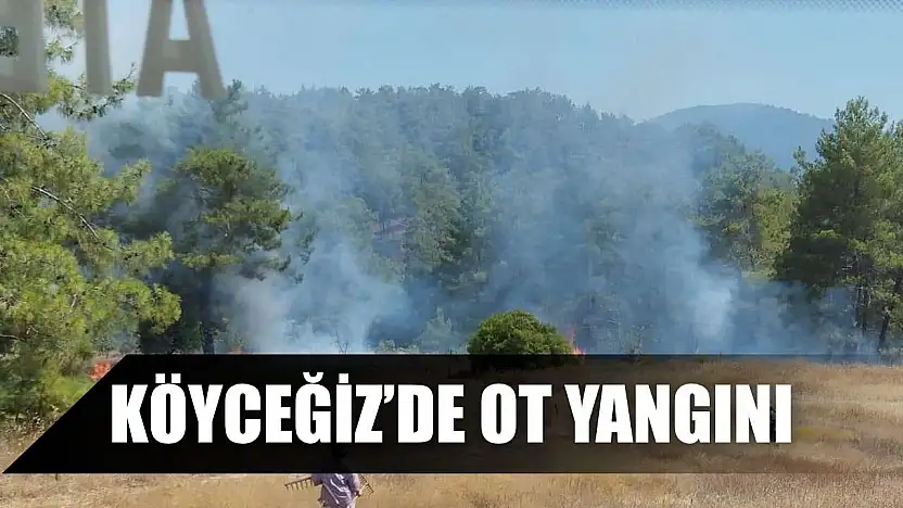 Köyceğiz'de ot yangını