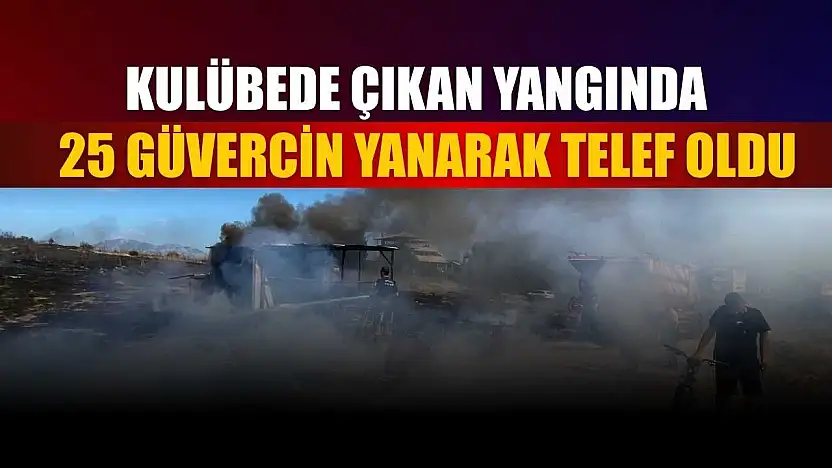 Kulübede çıkan yangında 25 güvercin yanarak telef oldu