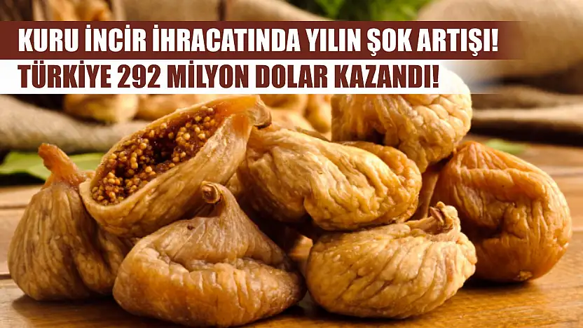 Kuru incir ihracatında yılın şok artışı! Türkiye 292 milyon dolar kazandı!