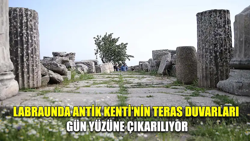 Labraunda Antik Kenti'nin teras duvarları gün yüzüne çıkarılıyor