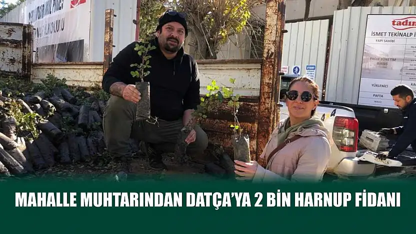 Mahalle muhtarından Datça'ya 2 bin harnup fidanı