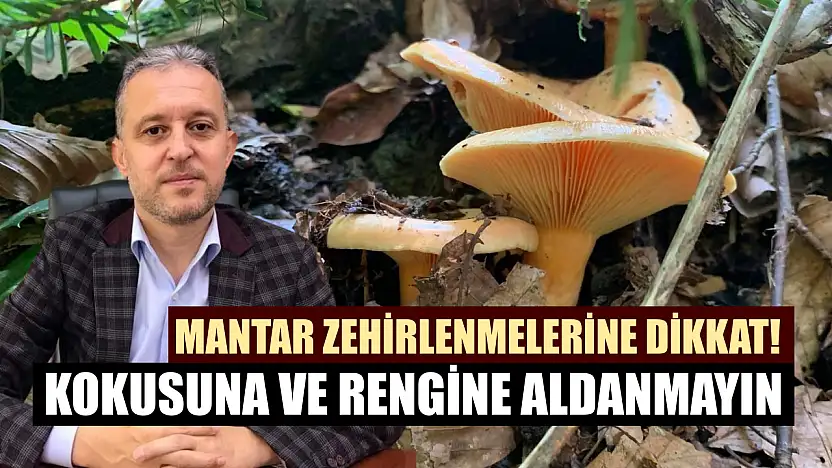Mantar zehirlenmelerine dikkat! Kokusuna ve rengine aldanmayın