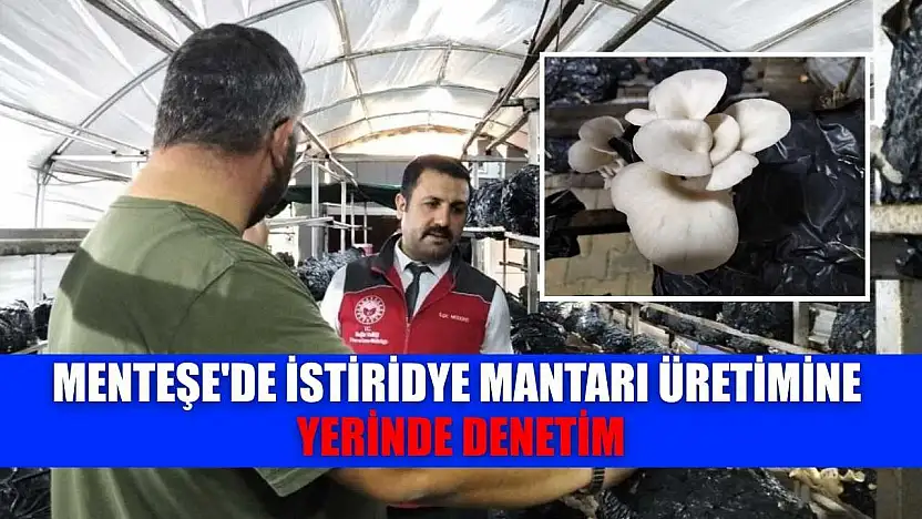 Menteşe'de istiridye mantarı üretimine yerinde denetim