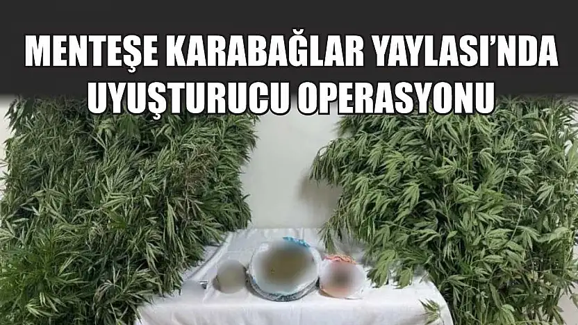 Menteşe Karabağlar Yaylası'nda Uyuşturucu Operasyonu