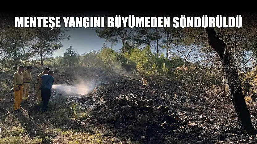 Menteşe yangını büyümeden söndürüldü