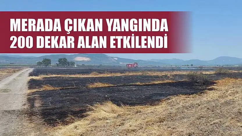 Merada çıkan yangında 200 dekar alan etkilendi