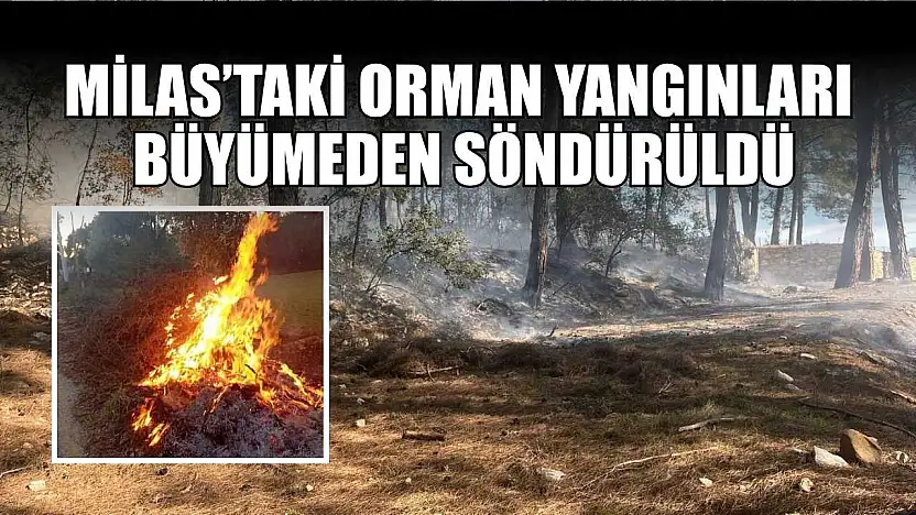 Milas'taki orman yangınları büyümeden söndürüldü