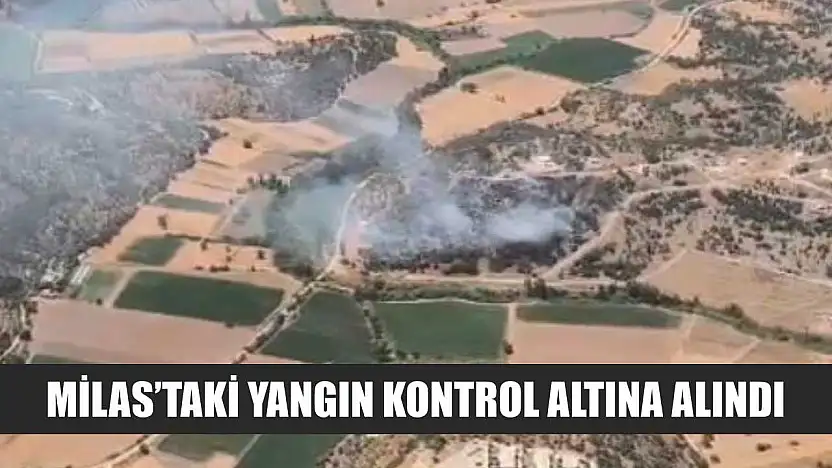 Milas'taki yangın kontrol altına alındı