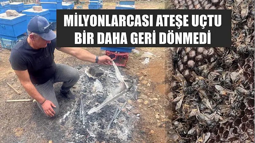 Milyonlarcası ateşe uçtu bir daha geri dönmedi