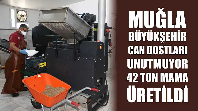 Muğla Büyükşehir Can Dostları Unutmuyor: 42 Ton Mama Üretildi