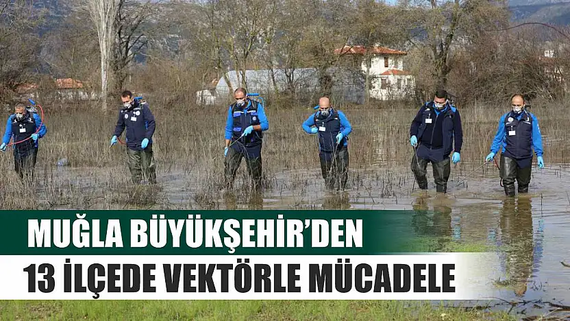 Muğla Büyükşehir'den 13 İlçede Vektörle Mücadele